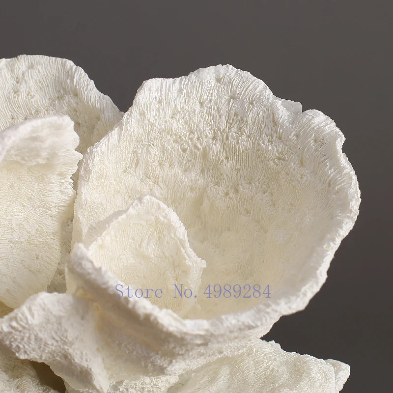 Coral Decoration