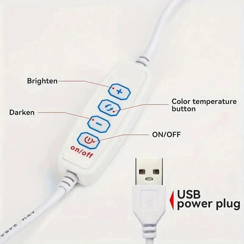 Nordic Lamp