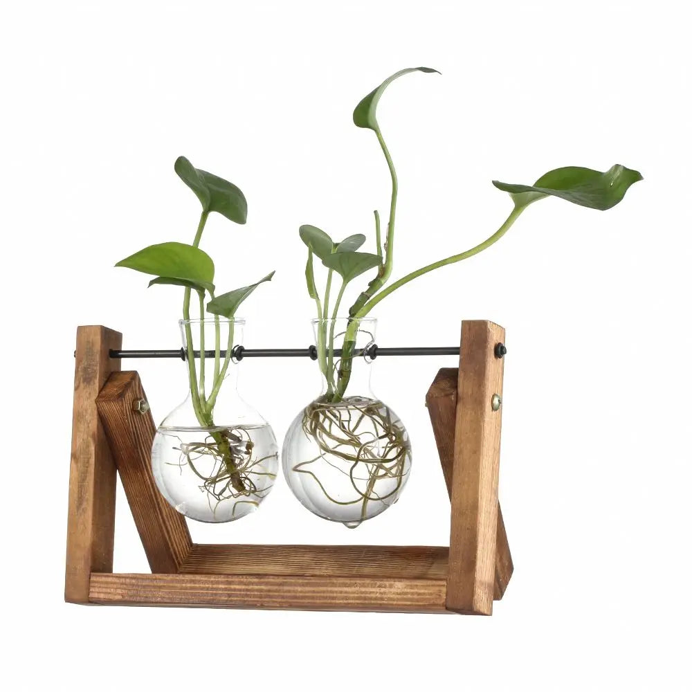 Vintage Hydroponic Plant Vases Glass Vase Vintage Bonsai Flower Pot Terrarium Tabletop Tray Wooden Frame Home Decoration