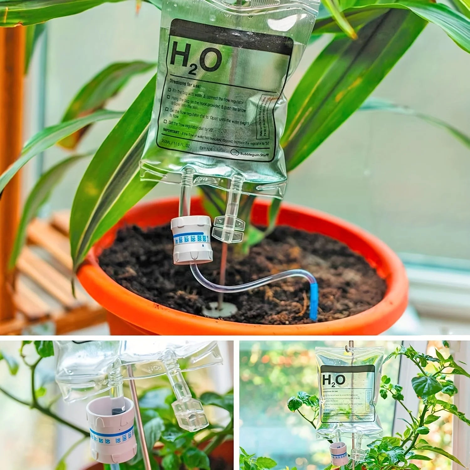 Plant Self Watering System