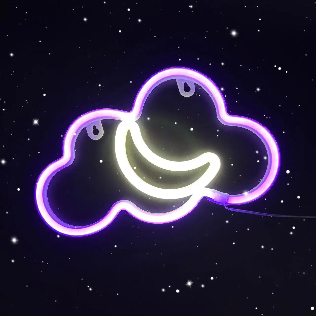 Neon Sign