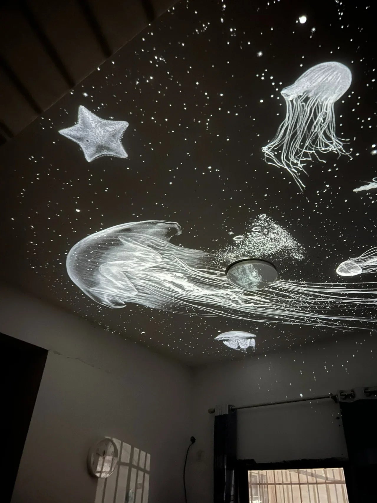 Galaxy Star Projector