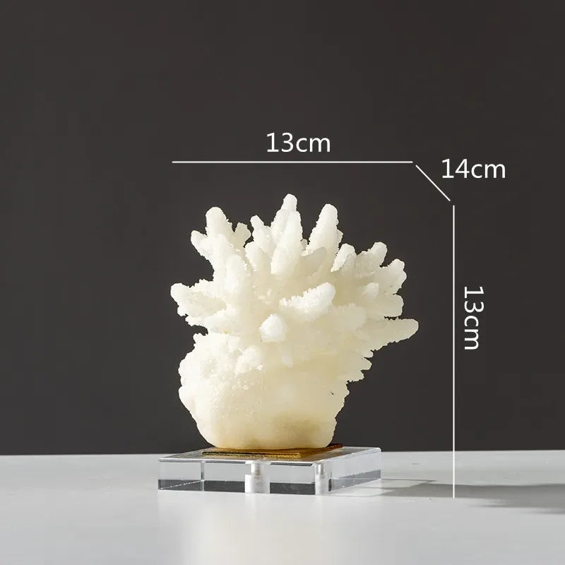 Coral Sculpture