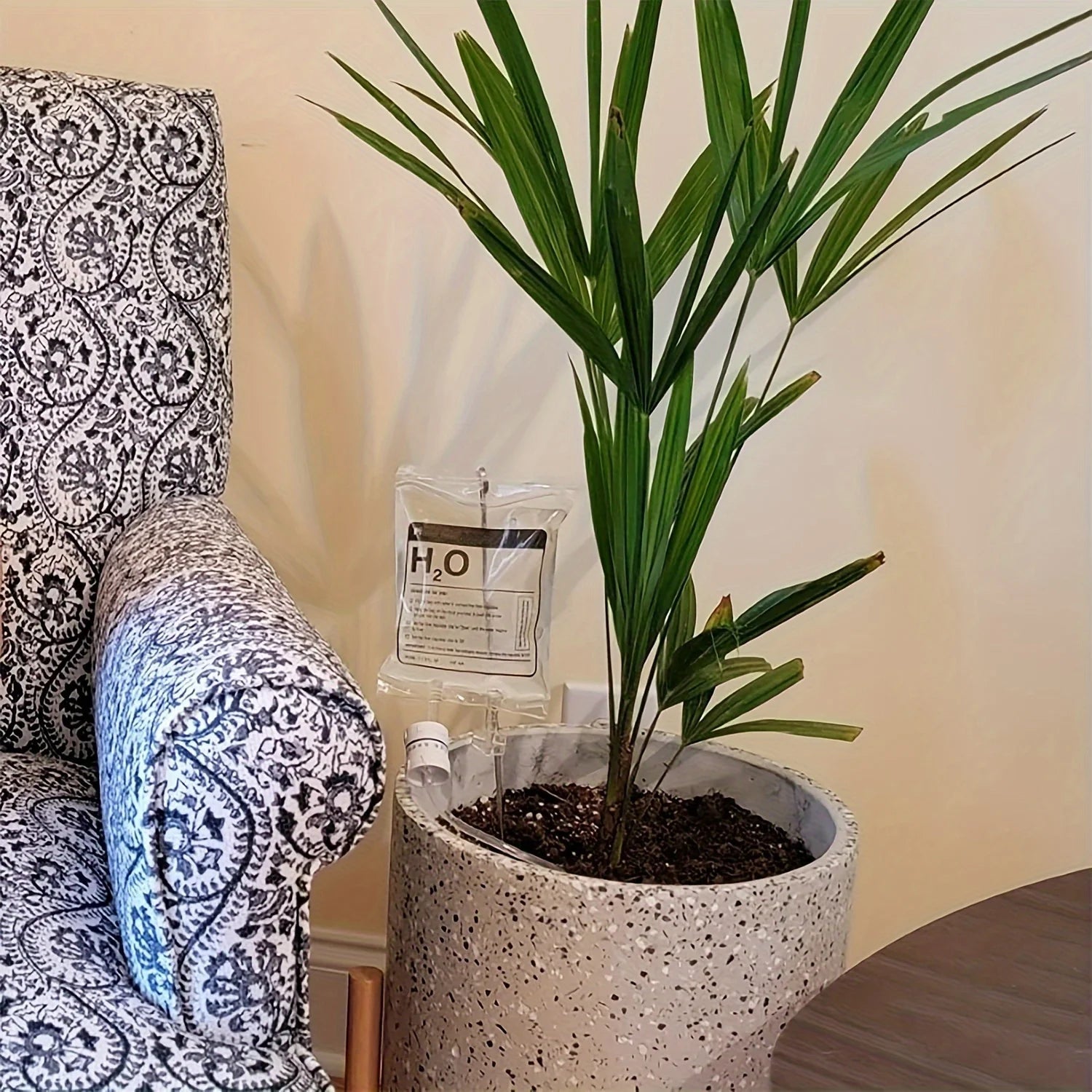 Plant Self Watering System